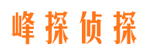 河津寻人公司